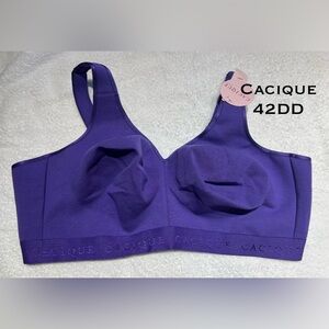 New with Tags Cacique Lane Bryant Cotton Wirefree Bra 42DD Purple